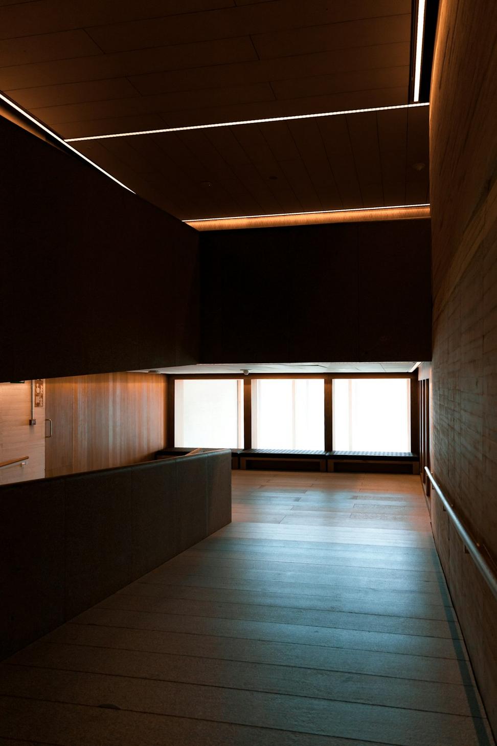 Dragon Vyne Architecture Studio